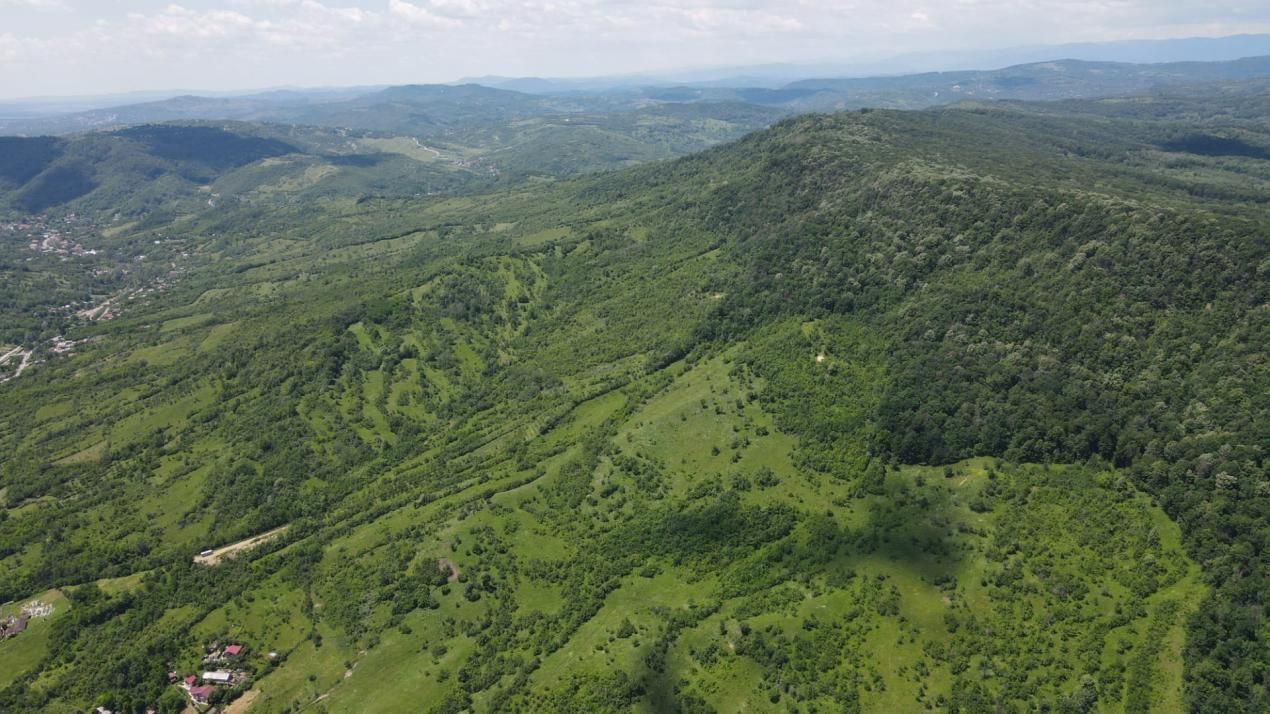 Teren spectaculos cu padure, livada si priveliste panoramica in Soimari PH – fotografia 11 din 16
