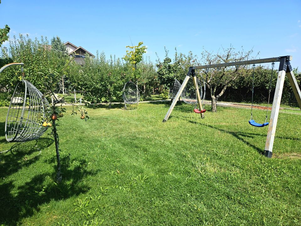 PROPRIETATE DEOSEBITĂ CU POTENȚIAL REZIDENȚIAL ȘI  BUSINESS – MOVILA, NICULEȘTI – fotografia 6 din 23