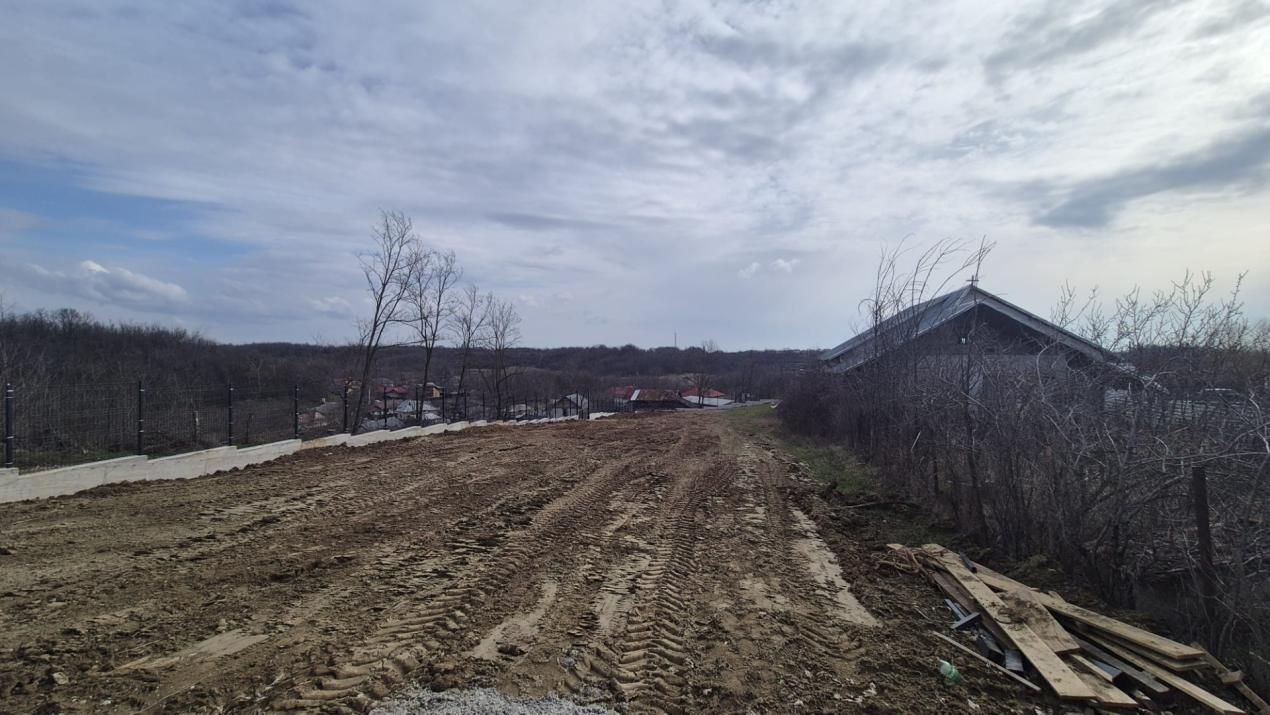 Teren 1.500 mp lângă pădure, Albota – liniște, natură și potențial de parcelare – fotografia 3 din 5