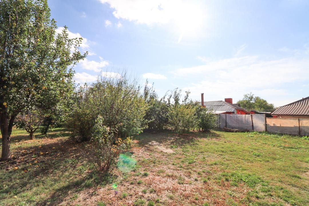 AFACERE LA CHEIE – SPAȚIU COMERCIAL | TĂMĂDĂU MARE | STRADA PRINCIPALA – fotografia 9 din 24