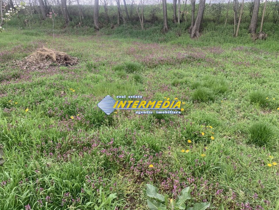 OCAZIE ! Teren intravilan 300 mp. 450 mp. si 500 mp. Vanzare Barabant Alba Iulia pentru cabana – fotografia 2 din 5
