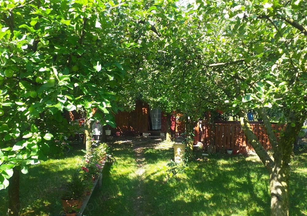 Teren Intravilan Vanzare 1400 mp. Alba Micesti deschidere 16m. Toate Utilitatile – fotografia 5 din 6