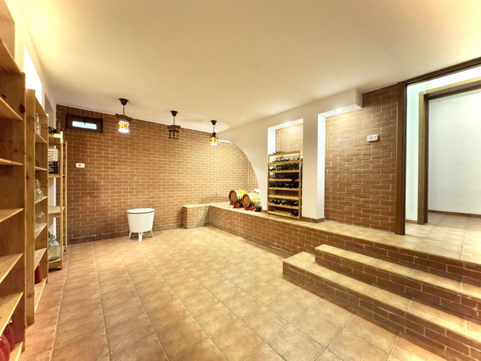 Vila pe domeniu de 8.000 mp | proiect senior living 60+ – fotografia 19 din 40