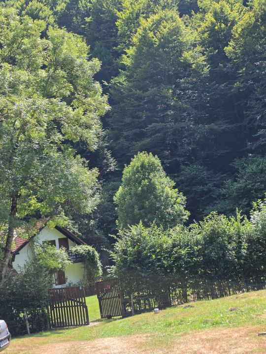 🏡 PROPRIETATE EXTRAORDINARĂ– LOTRIOARA, JUDEȚUL SIBIU! 🌲 – fotografia 63 din 72