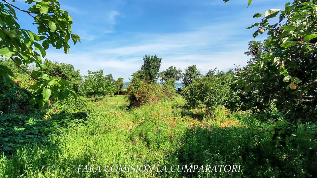 BUDESTI - CASA LA 15 MINUTE DE ORAS TEREN 1233 MP – fotografia 14 din 19