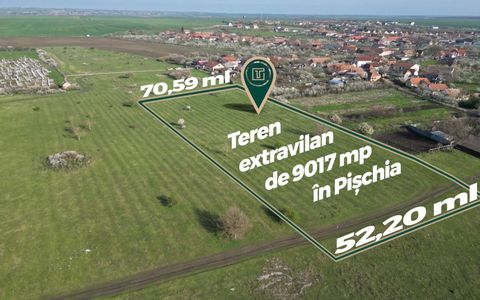 Teren extravilan dezvoltare rezidential de 9.017 mp în Pișchia