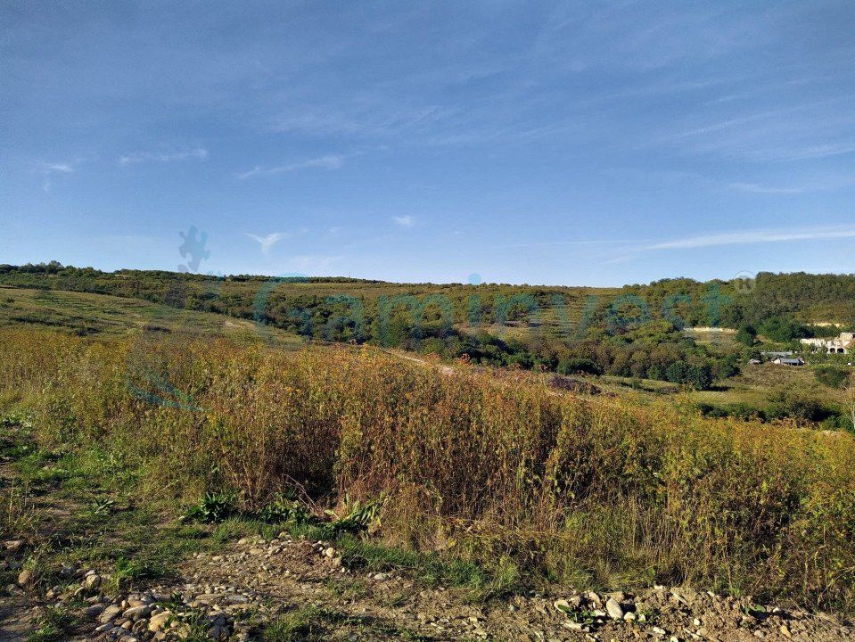 Teren intravilan de vanzare pentru dezvoltare imobiliara, Saldabagiu de Munte – fotografia 4 din 5