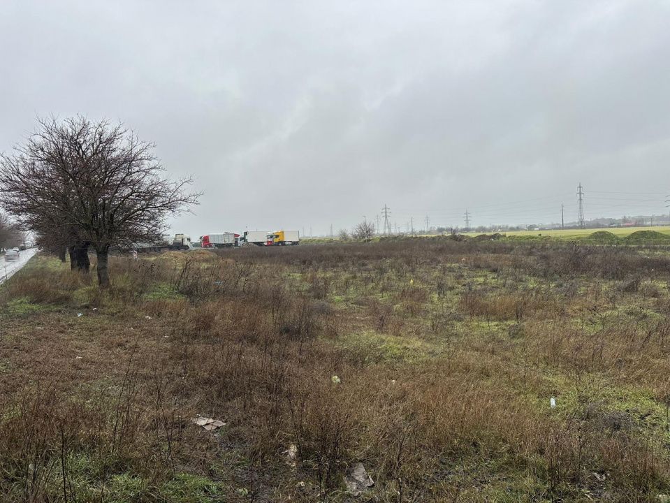 Teren extravilan de vanzare | 21.200 mp | Lumina | Oportunitate de investiție – fotografia 7 din 9