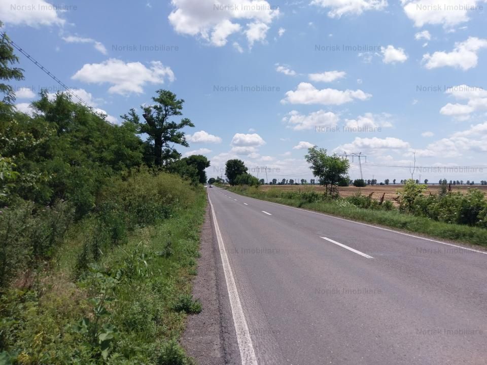Oportunitate investitie teren  - DN4 – fotografia 8 din 9