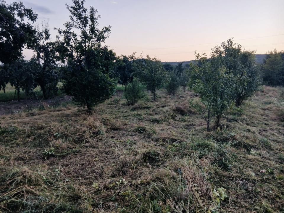 Teren de vânzare în Topoloveni | Zonă liniștită, aproape de oraș – fotografia 3 din 5