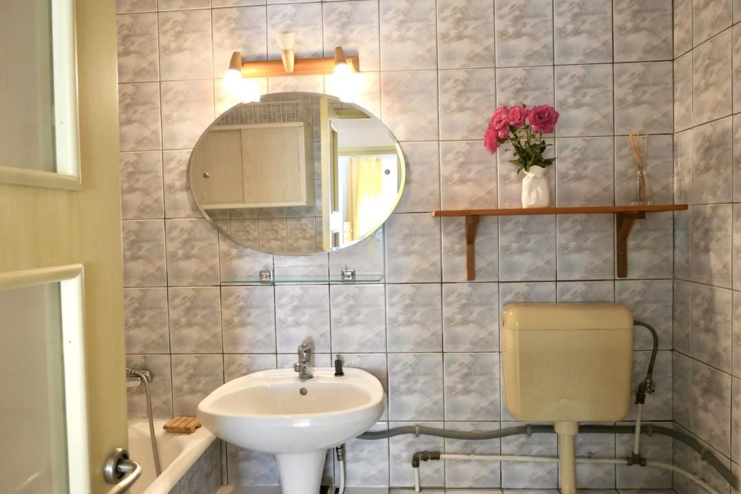 Apartamentul dintre parcuri – fotografia 12 din 16