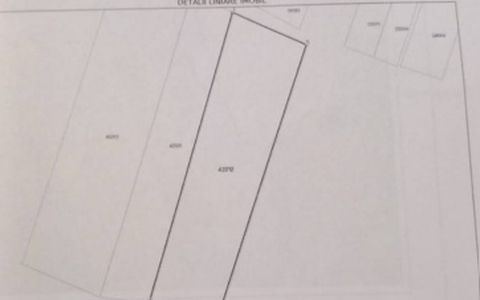 TEREN INTRAVILAN 2.100 MP | ADUNAȚII COPĂCENI | CARTIER NOU |
