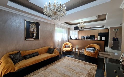 Vila Exclusivista - Berceni