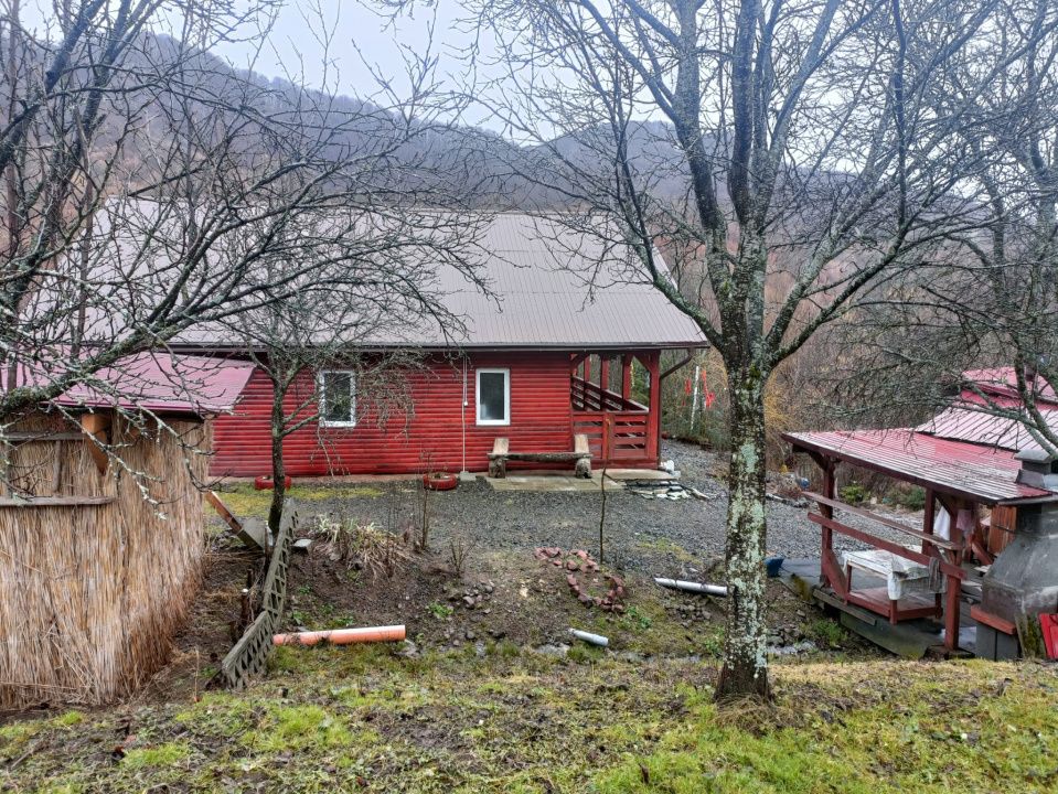Cabană de vânzare în Bistra-Mureșului, com Deda, sau schimb – fotografia 11 din 21