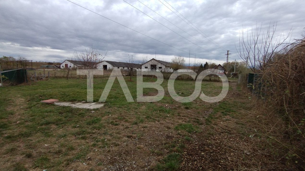 Afacere si locuinta cu teren de 1450 mp de vanzare in Rausor – fotografia 4 din 24