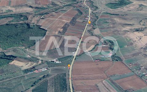 Teren extravilan de 4991 mp la strada principala in Sura Mare