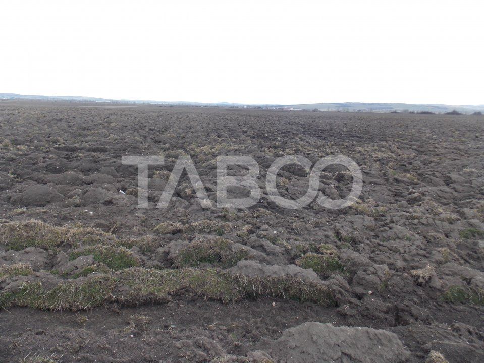 Teren intravilan de vanzare 10.000 mp in zona Industriala Vest Sibiu – fotografia 3 din 5