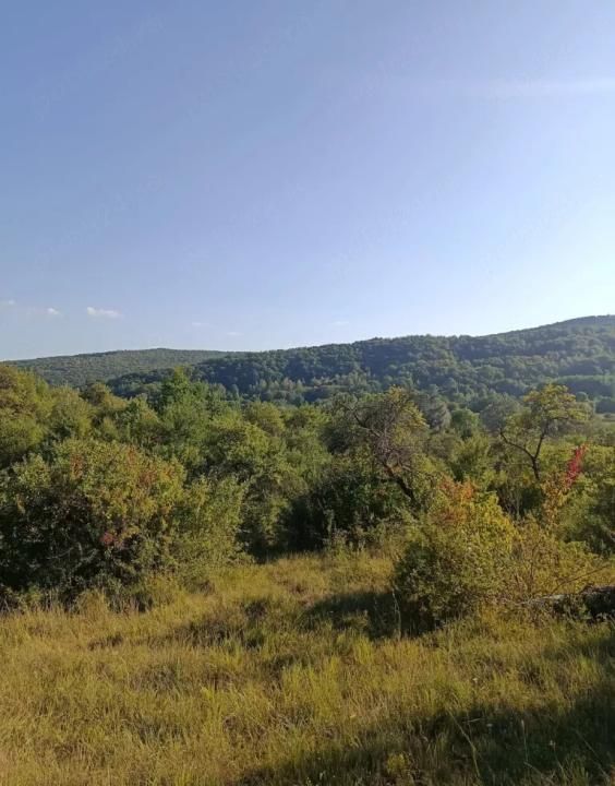 Teren extravilan de vânzare Tigveni | 4.944 mp | Panoramă superbă – fotografia 6 din 6