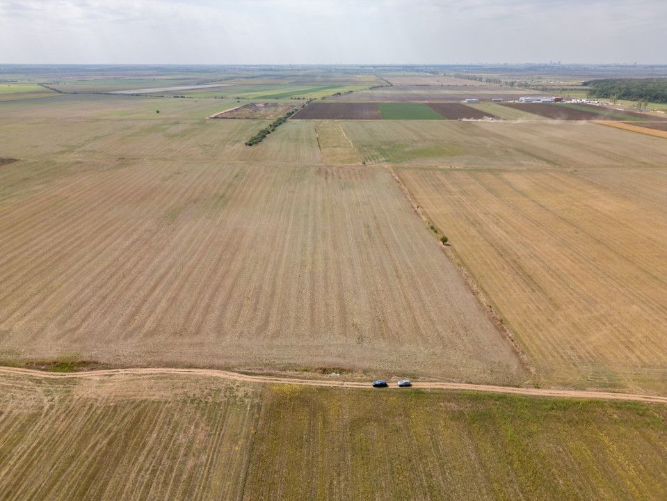 DASCALU - TEREN INTRAVILAN 7500 MP, INVESTITIE! – fotografia 3 din 17
