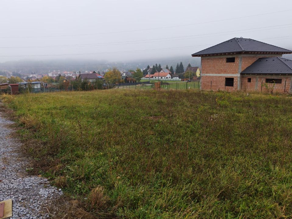 Teren de vânzare în Sovata - 1000 mp / Dealul Mestecănișului – fotografia 9 din 11