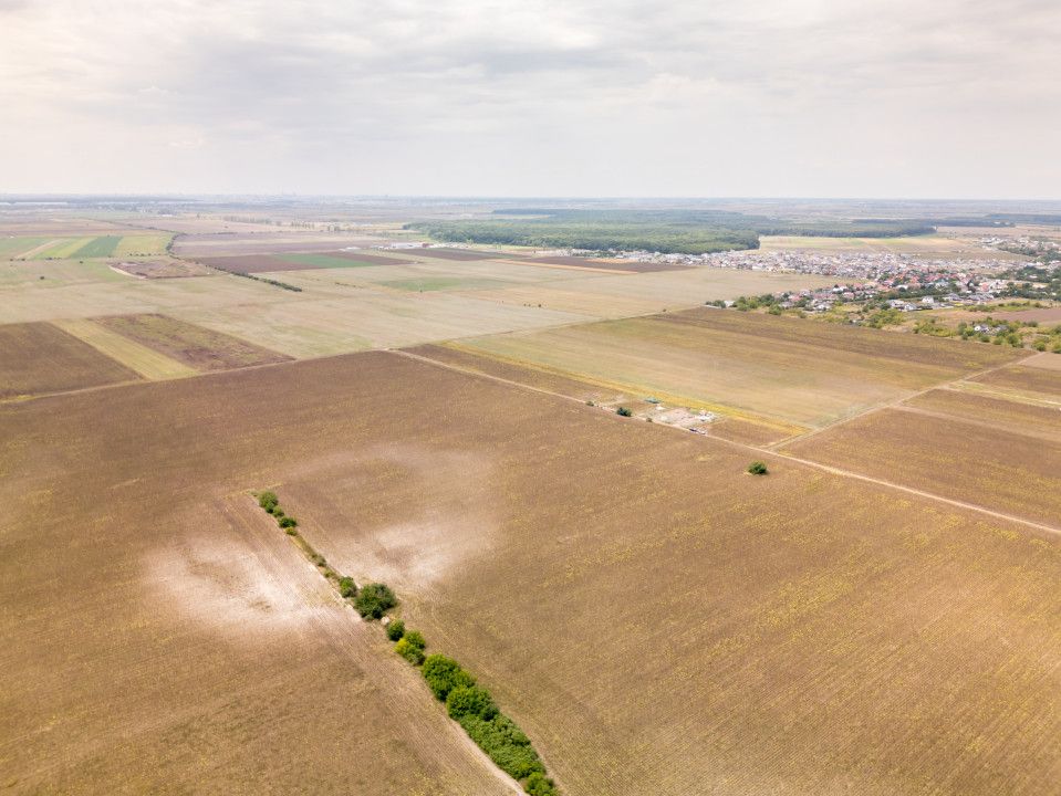 DASCALU – TEREN INTRAVILAN 11300 MP, INVESTITIE! – fotografia 14 din 18