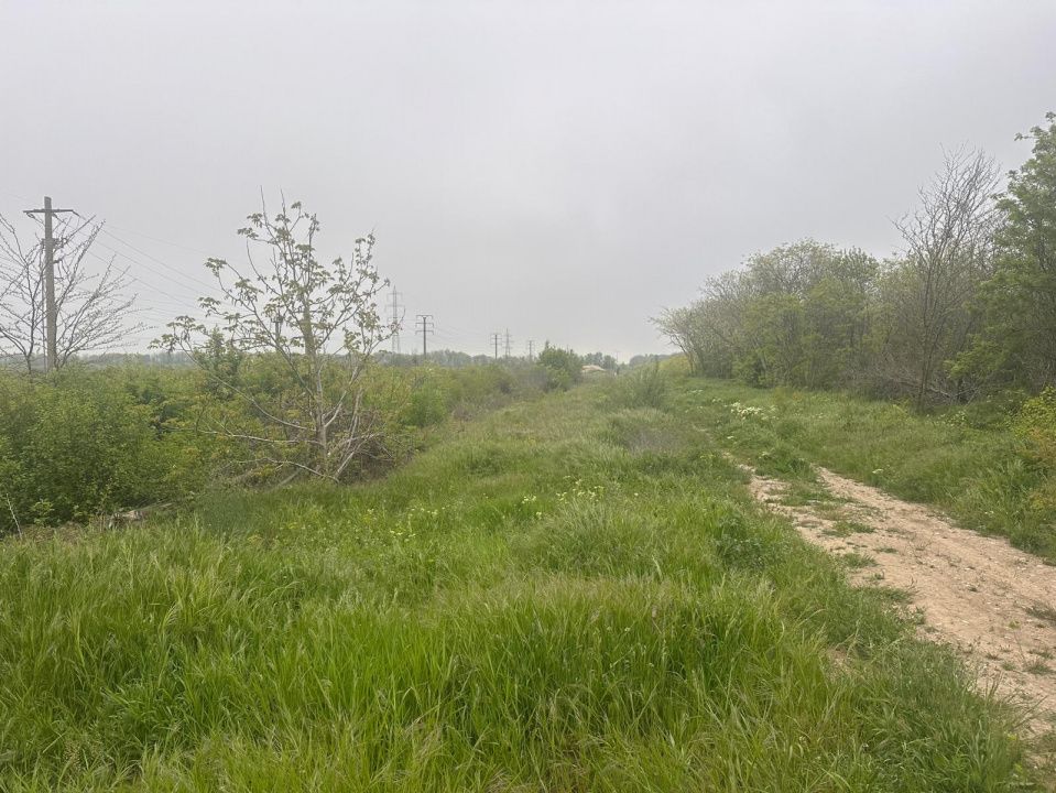 Investitie Litoral! Teren intravilan de vanzare | 46.000mp | Neptun – fotografia 15 din 24