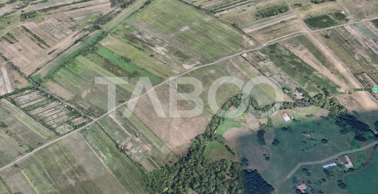 Teren de vanzare 17.000 mp in vecinatatea padurii Dumbrava – fotografia 1 din 2