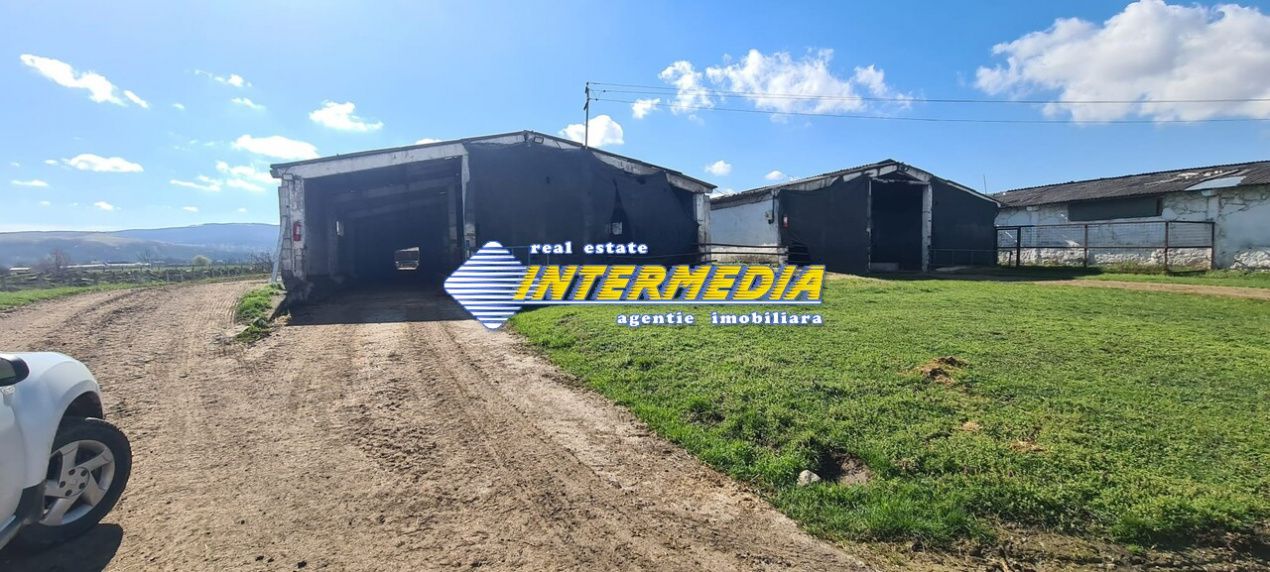 Ferma de vanzare in apropiere de Alba Iulia – fotografia 8 din 12