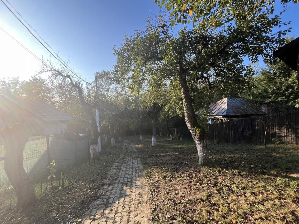 Casă P+M cu vedere spre pădure și teren de 866 mp in Magura Hulubesti – fotografia 36 din 41