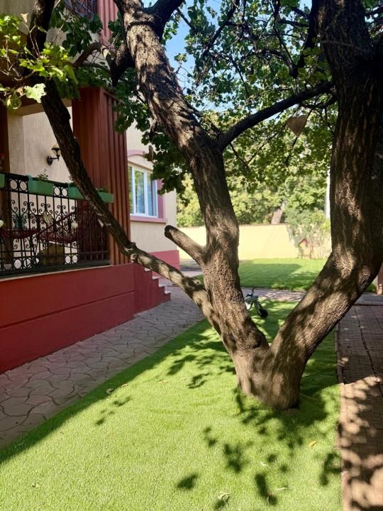 🏡 Vilă Damaroaia | 6 camere | Firmă, Cabinet, Afterschool – fotografia 15 din 24