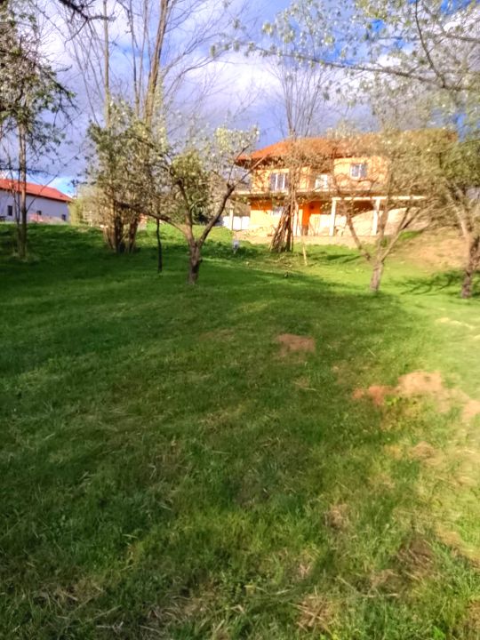 Gospodarie, casa cu 5 camere si 8272 mp teren, in Oarda – fotografia 19 din 23