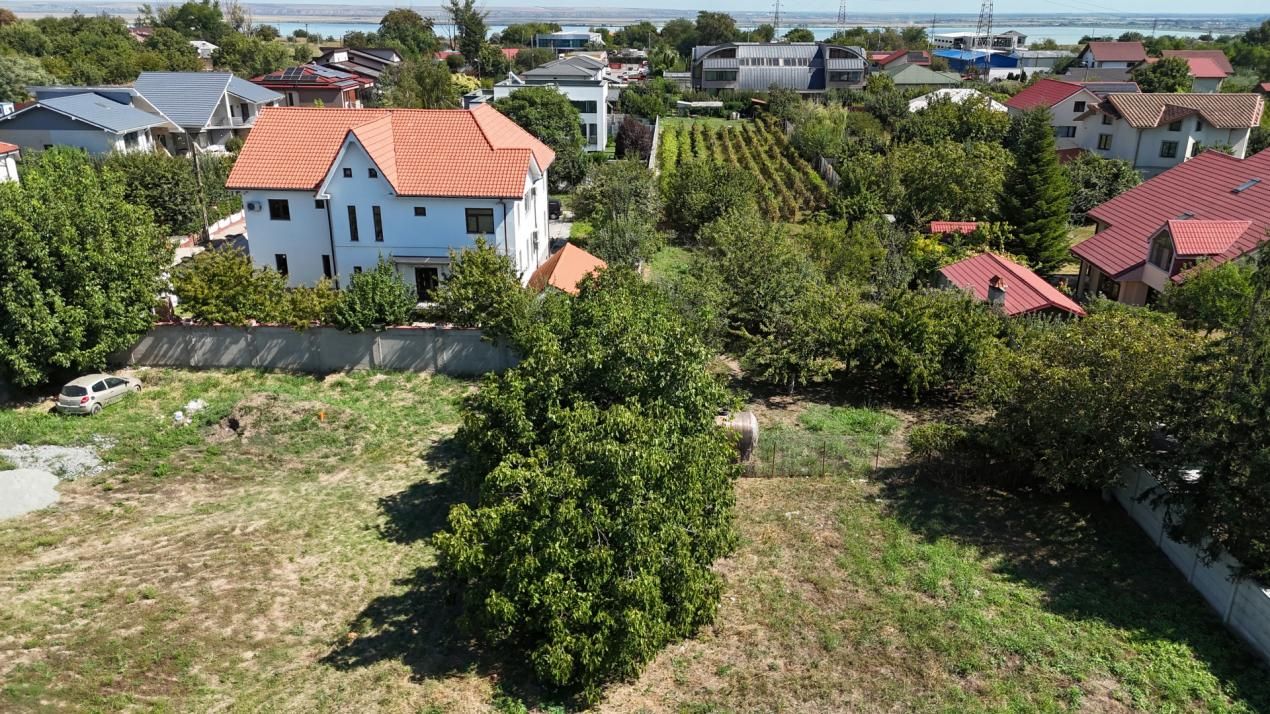 TEREN 2211 MP ÎN ARCAȘILOR – fotografia 3 din 12