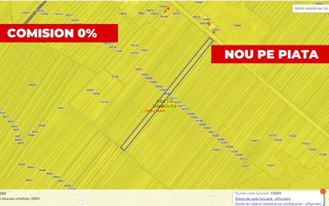 Teren agricol 12.500 mp | Deschidere directă DN61 | Dublu acces | Corbii Mari