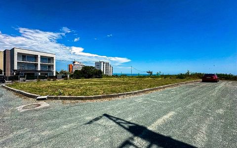 Teren in prima linie la mare, Costinesti - intravilan 1337 mp, utilități