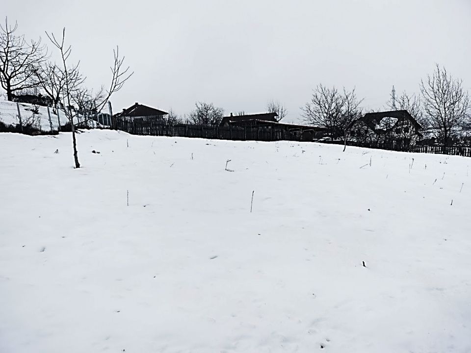 1400 mp. Deschidere 38 m Teren Intravilan CETATE Valea Popii utilitatile langa – fotografia 7 din 8