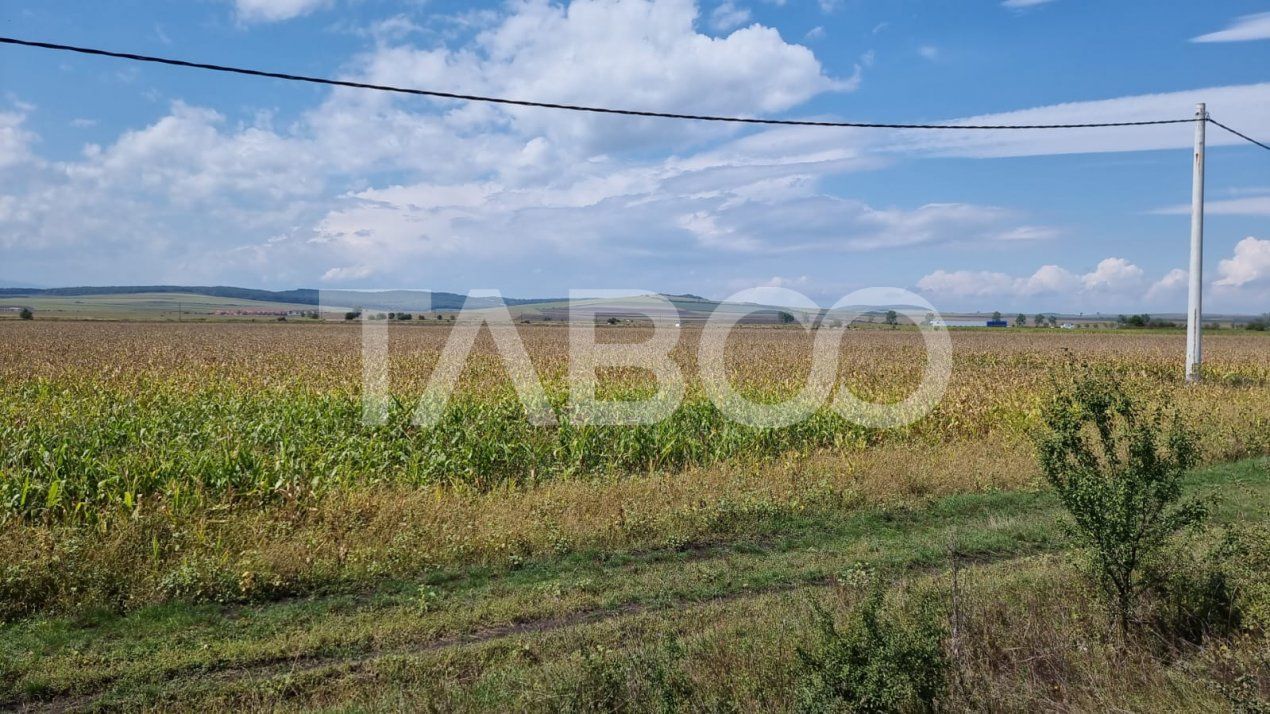Oportunitate investitie Comision 0%  28000 mp in Sura Mica Sibiu – fotografia 5 din 7