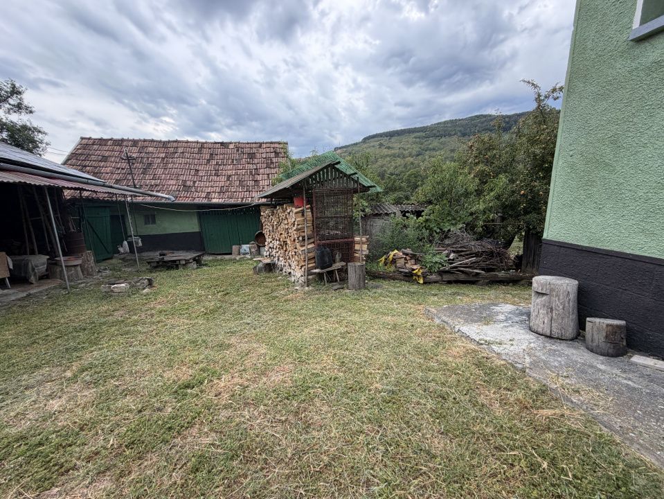 Casă în Cricău cu 1.375 mp teren, anexe, utilități, vie și livadă - Oportunitate – fotografia 21 din 54