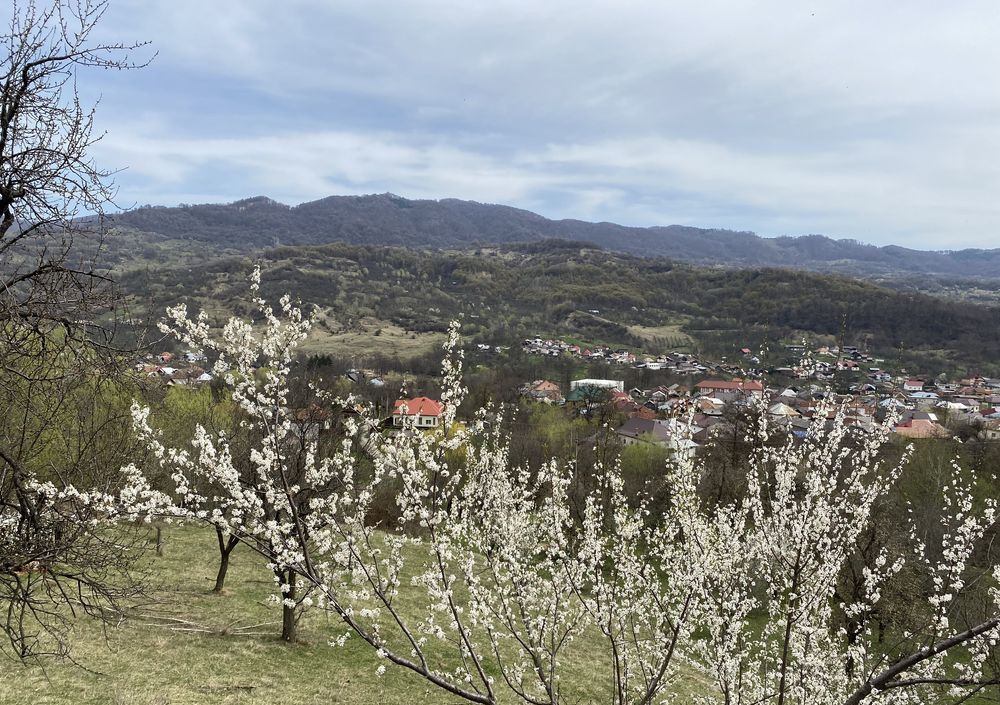 🏡 Oportunitate investiție în Corbi, Argeș | 22.000 mp teren în zonă de poveste – fotografia 4 din 8