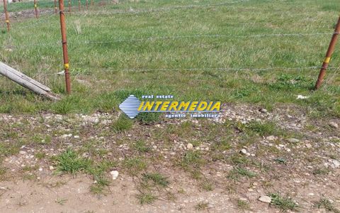 Teren intravilan de vanzare 500 mp Oarda