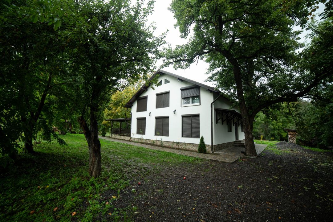 Cabane de vânzare Reghin Deda - Bistra Mureșului – fotografia 4 din 44