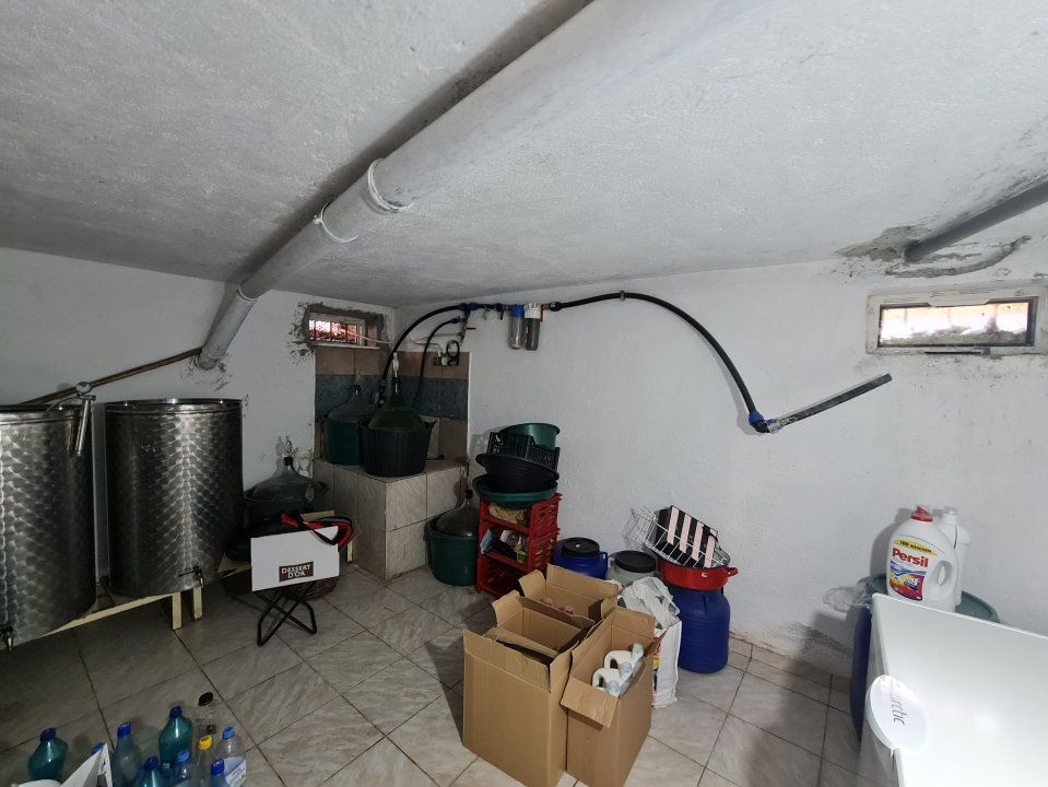 Vila 6 Camere - Domnesti – fotografia 35 din 36