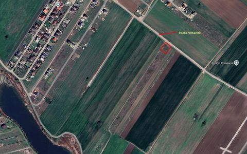 Teren Intravilan Primaverii - Com Berceni | utilitati in zona | #EG10E