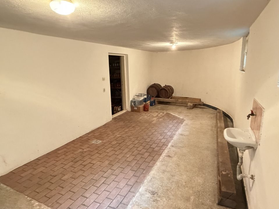 CASA Vintu D+P+E+M cu 4100 mp .Teren Intravilan si Extravilan Utilitati – fotografia 12 din 70