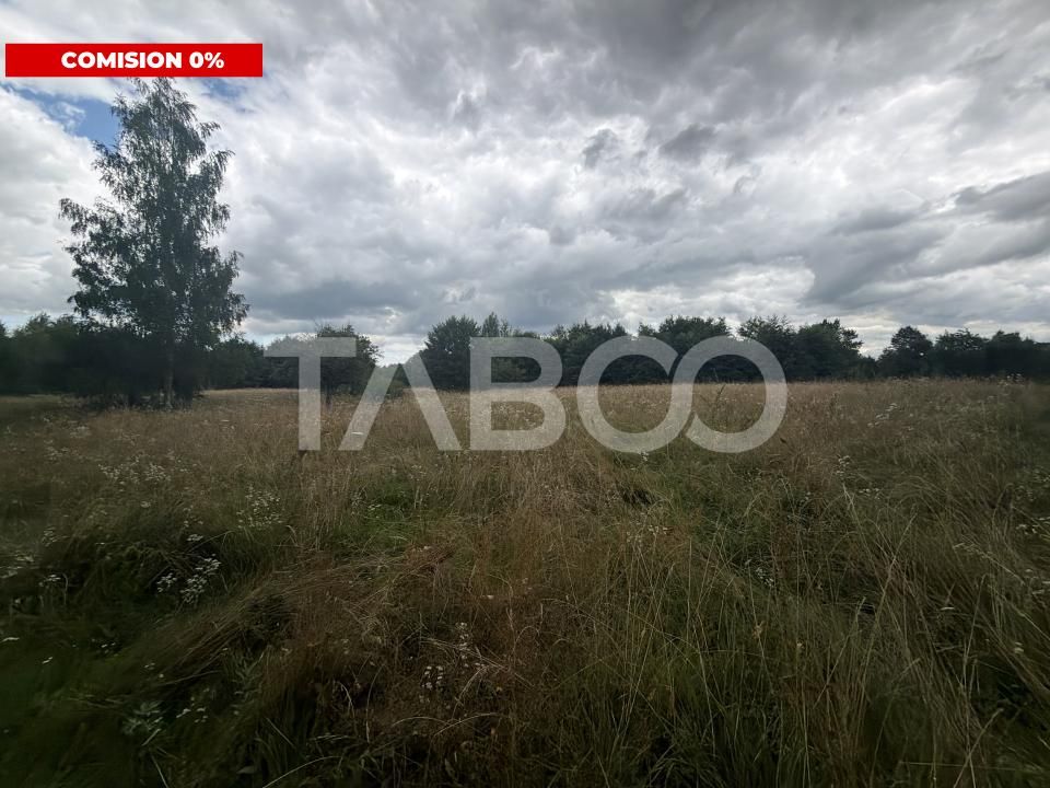 Teren extravilan cu utilitat 6000 mp langa Rau pe Valea Dejaniului – fotografia 1 din 2