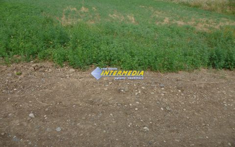 Teren intravilan de vanzare 600mp Paclisa